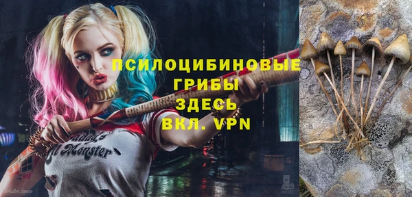 apvp Волоколамск