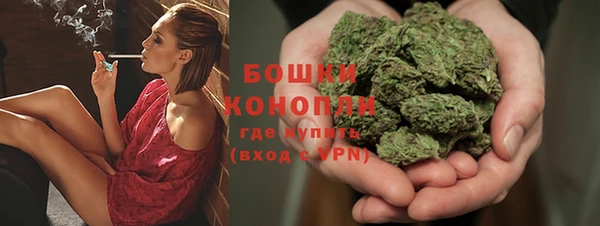 мдпв Володарск