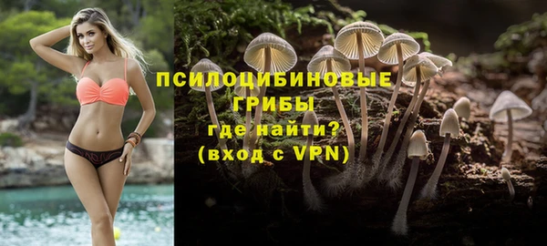 мдпв Володарск