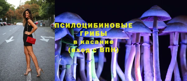 мдпв Володарск