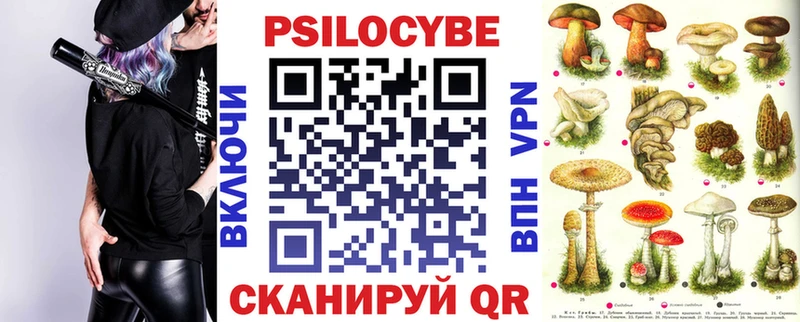 Купить закладки  Кировград  Псилоцибиновые грибы Psilocybe 