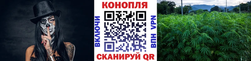 Марихуана Amnesia  Купить где  Кировград 